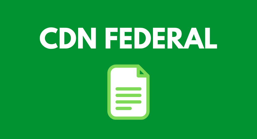 O QUE É CDN: COMO EVITAR PROBLEMAS COM O CNPJ? 1 O Que É CDN e Para Que Serve